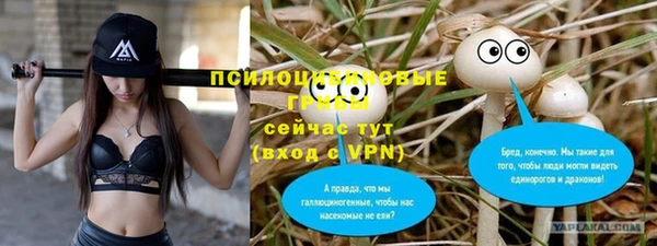 прущие крисы Богданович
